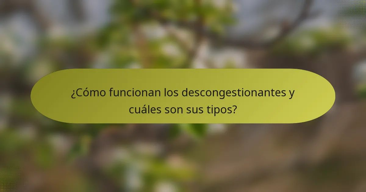 ¿Cómo funcionan los descongestionantes y cuáles son sus tipos?