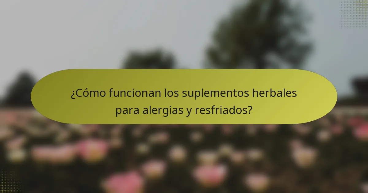 ¿Cómo funcionan los suplementos herbales para alergias y resfriados?