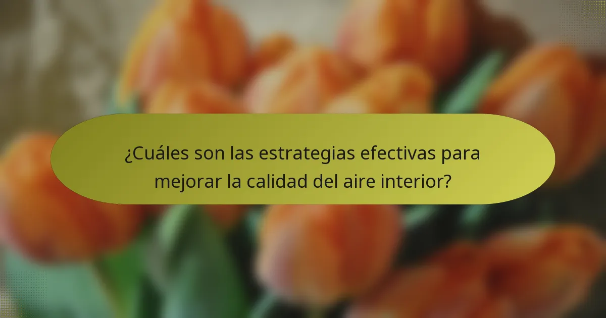 ¿Cuáles son las estrategias efectivas para mejorar la calidad del aire interior?