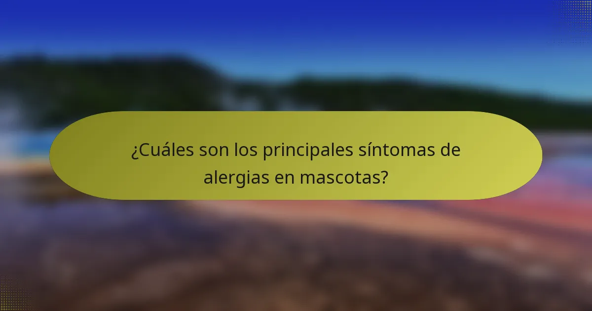 ¿Cuáles son los principales síntomas de alergias en mascotas?