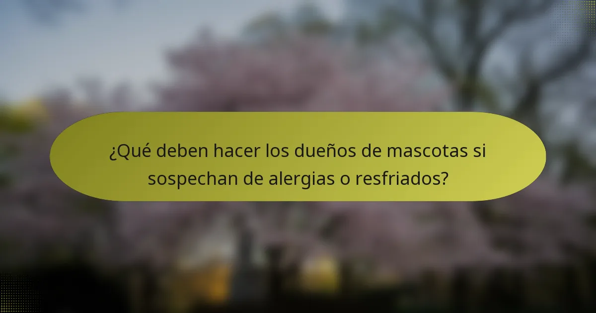 ¿Qué deben hacer los dueños de mascotas si sospechan de alergias o resfriados?