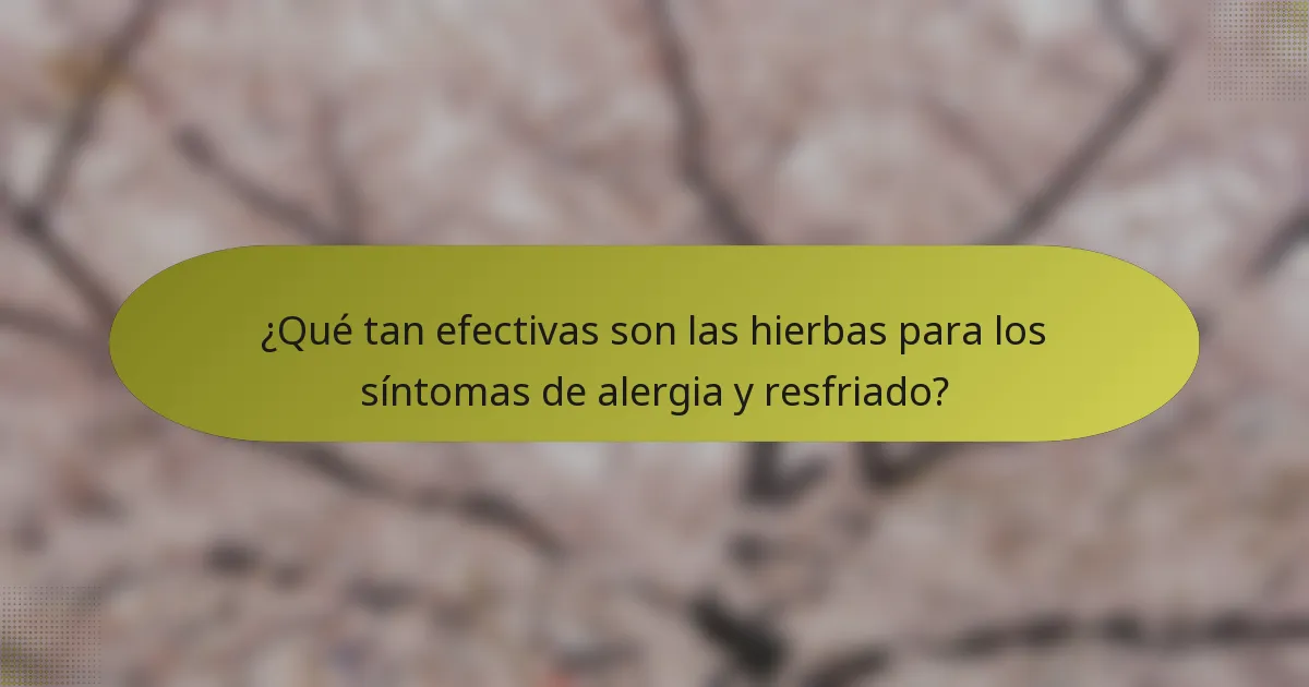 ¿Qué tan efectivas son las hierbas para los síntomas de alergia y resfriado?